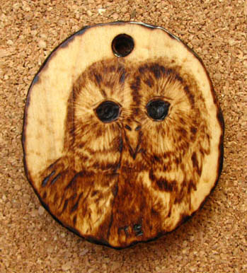 tawny owl tanja sova pyrogaphy